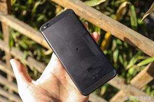 999国产,揭秘神秘国度的奇幻之旅  第3张